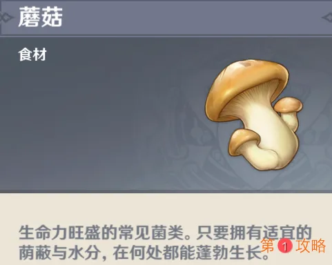 原神蘑菇在哪里采摘 原神蘑菇快速