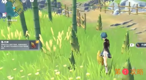 原神竹笋在哪里采集 原神竹笋刷新