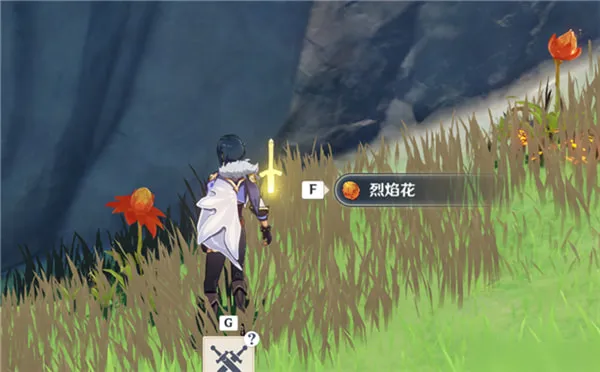 原神火焰花怎么采集 火焰花采集方