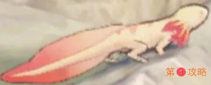 原神鳅鳅宝玉采集路线位置以及用途介绍