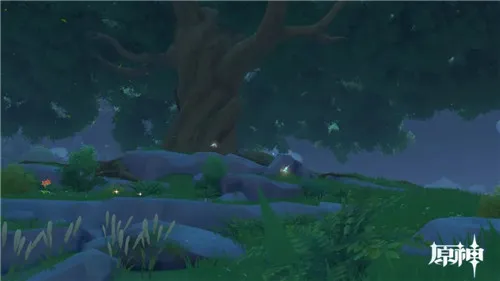 原神晶蝶晶核位置大全和采集路线推