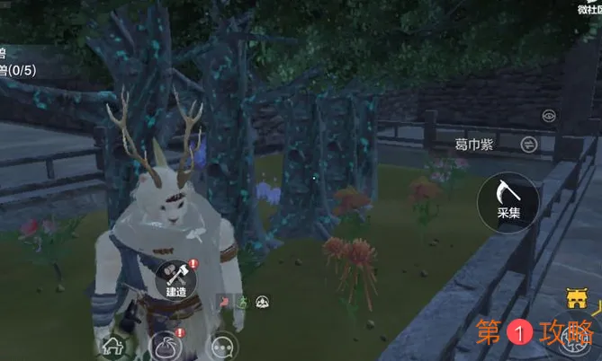 妄想山海经验获取攻略大全 新手怎