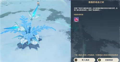 原神白垩与黑龙复生的急冻树打法攻