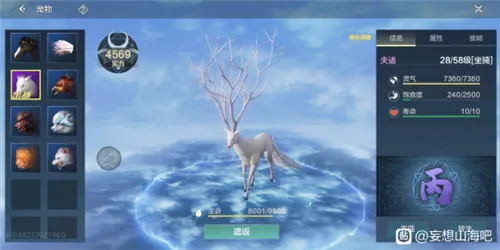 妄想山海宠物不能升级了是怎么回事