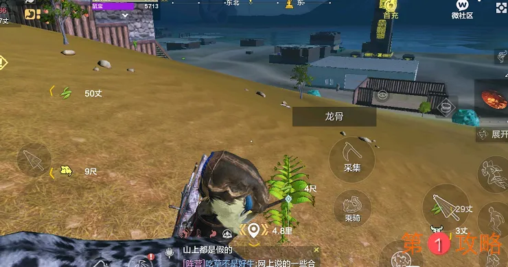 妄想山海龙骨草获取位置方式一览