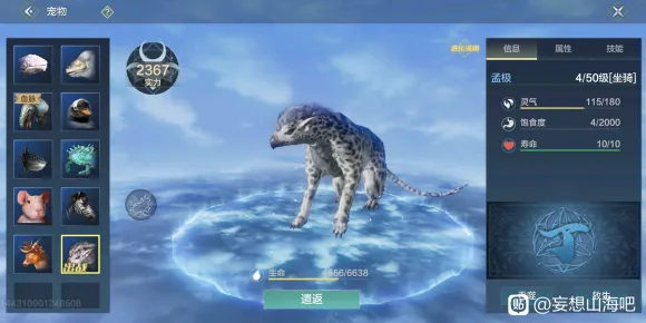 妄想山海新手捉什么宠物好 新手宠