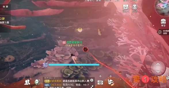 天谕手游冒险藏品位置及获取攻略大