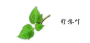 妄想山海柠檬叶获取方法及位置介绍