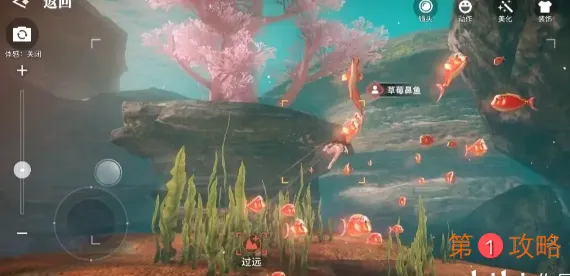 天谕手游汐愿之海鱼类坐标图鉴大全