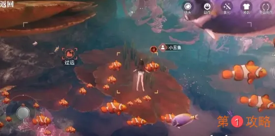 天谕手游汐愿之海鱼类坐标图鉴大全