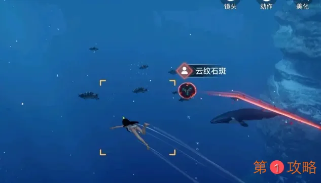 天谕手游汐愿之海鱼类坐标图鉴大全