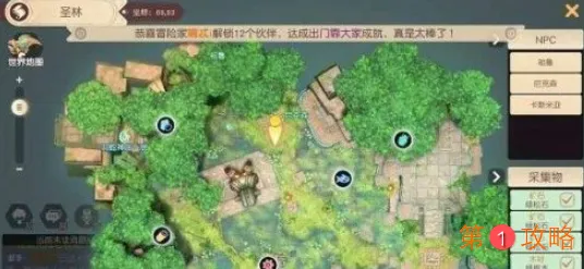 梦想新大陆奇遇考古学家的心血残缺