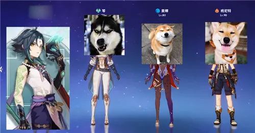 原神魈主C阵容最佳搭配方案推荐