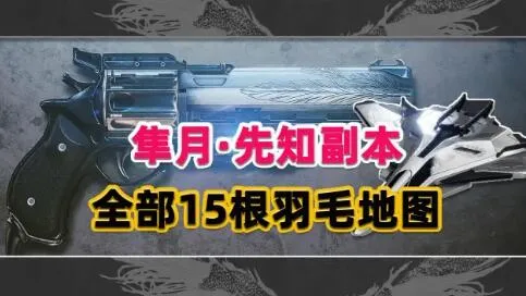 命运2隼月先知副本15根羽毛全部位