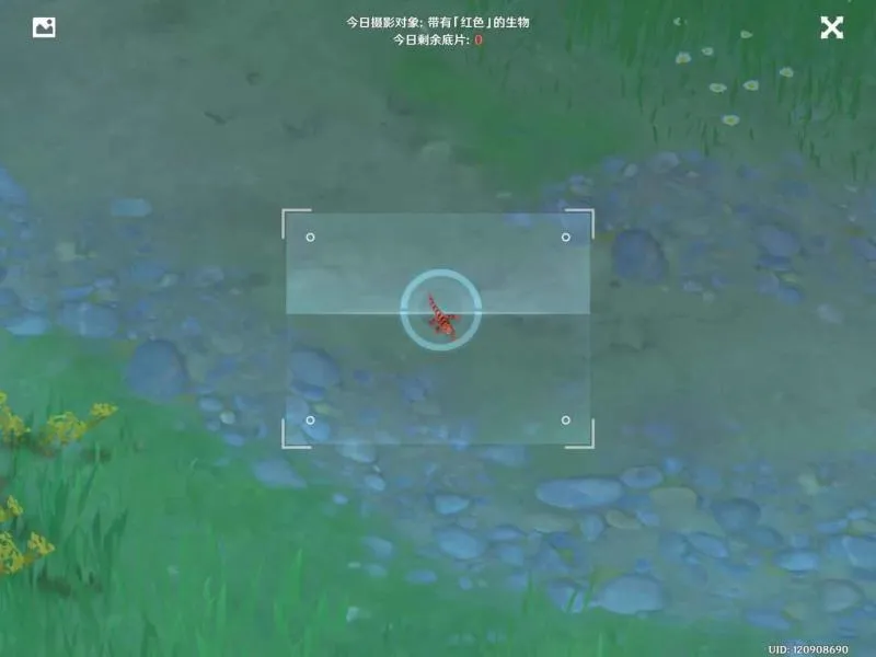 原神福至五彩第三天拍照攻略 红色的生物拍摄大全