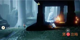 sky光遇荧光森林冥想位置在哪