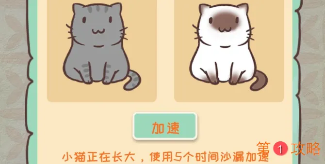 开心猫舍时间沙漏如何使用和加速