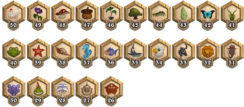 New Player Ranks (50-26)