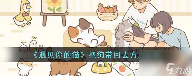 遇见你的猫怎么把狗带回去