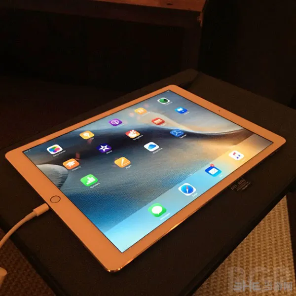 苹果iPad Pro上市时间4(gonglue1.com)