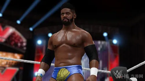 WWE 2K16(gonglue1.com)