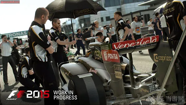 F1 2015截图4(gonglue1.com)