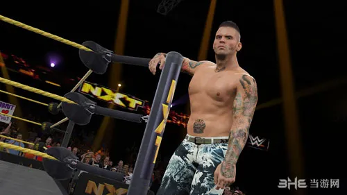 wwe2k15存档位置(gonglue1.com)