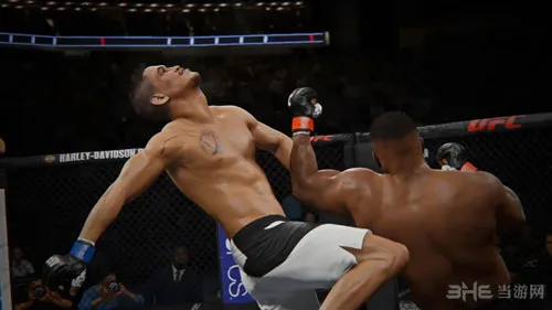 UFC2终极格斗冠军2截图3(gonglue1.com)