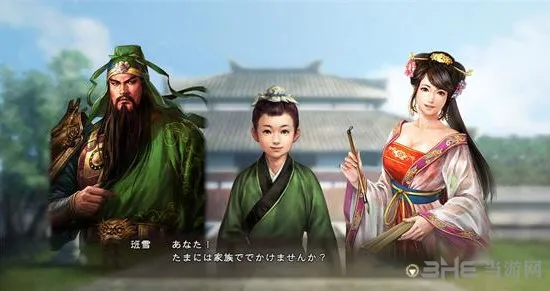 三国志13威力加强版生孩子心得 娶