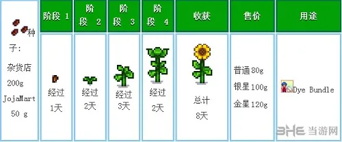 星露谷物语截图1(gonglue1.com)