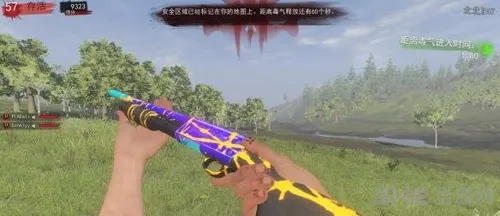 H1Z1游戏图片1(gonglue1.com)