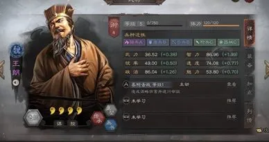 三国志战略版王朗阵容搭配 王朗玩